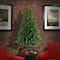 4ft. Unlit North Valley® Spruce Artificial Christmas Tree